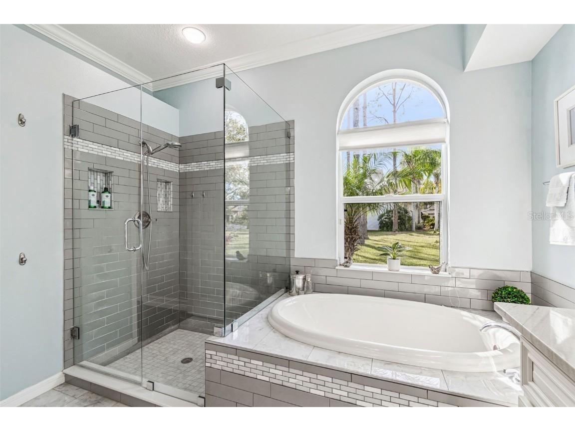 10101 Whisper Pointe Drive Tampa FL 33647 TB8457279 image72