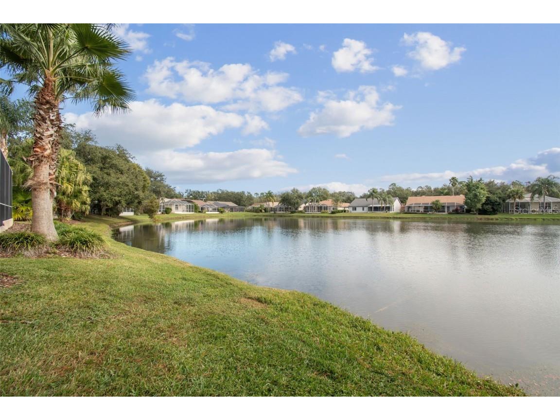 10101 Whisper Pointe Drive Tampa FL 33647 TB8457279 image82