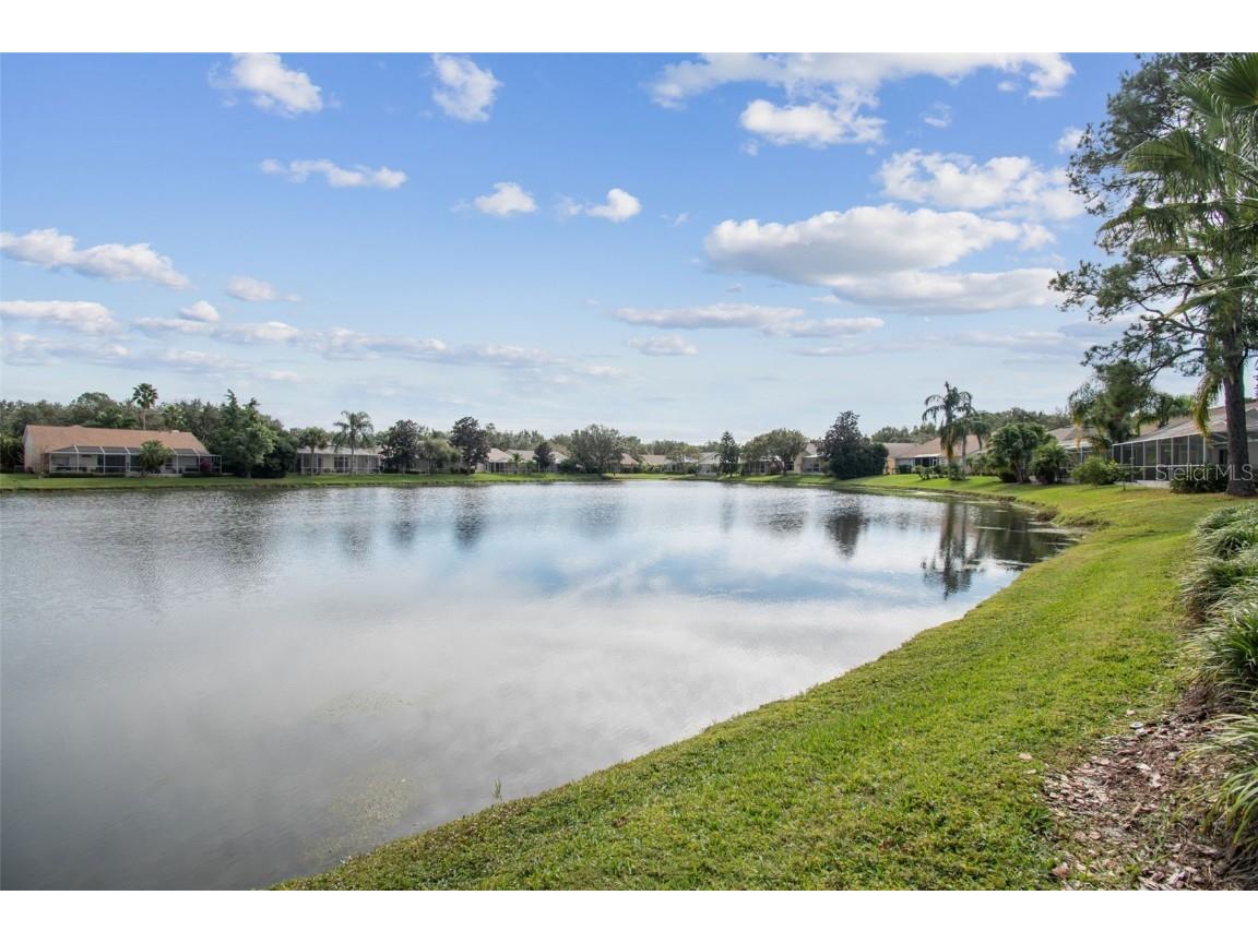 10101 Whisper Pointe Drive Tampa FL 33647 TB8457279 image85