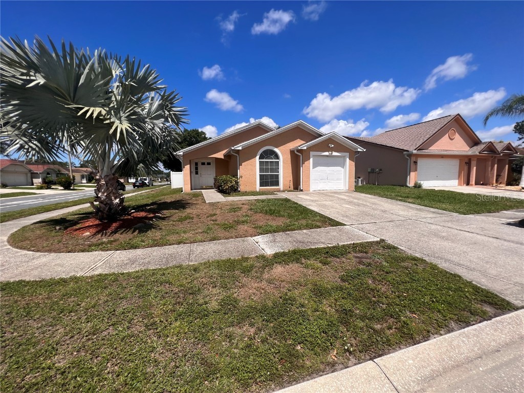 10102 Cedar Dune Drive Tampa FL 33624 T3452875 image1
