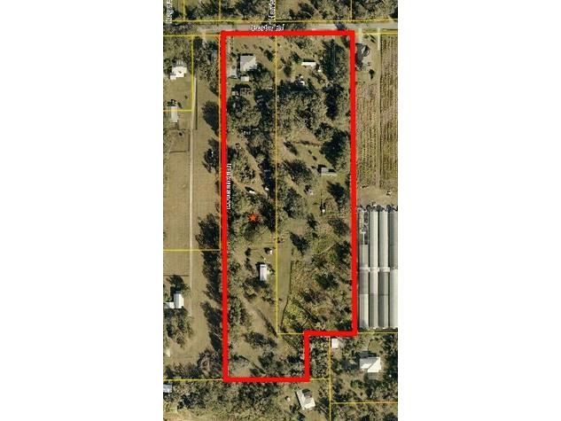 10102 Loetscher Lane Lithia FL 33547 TB8447885 image1