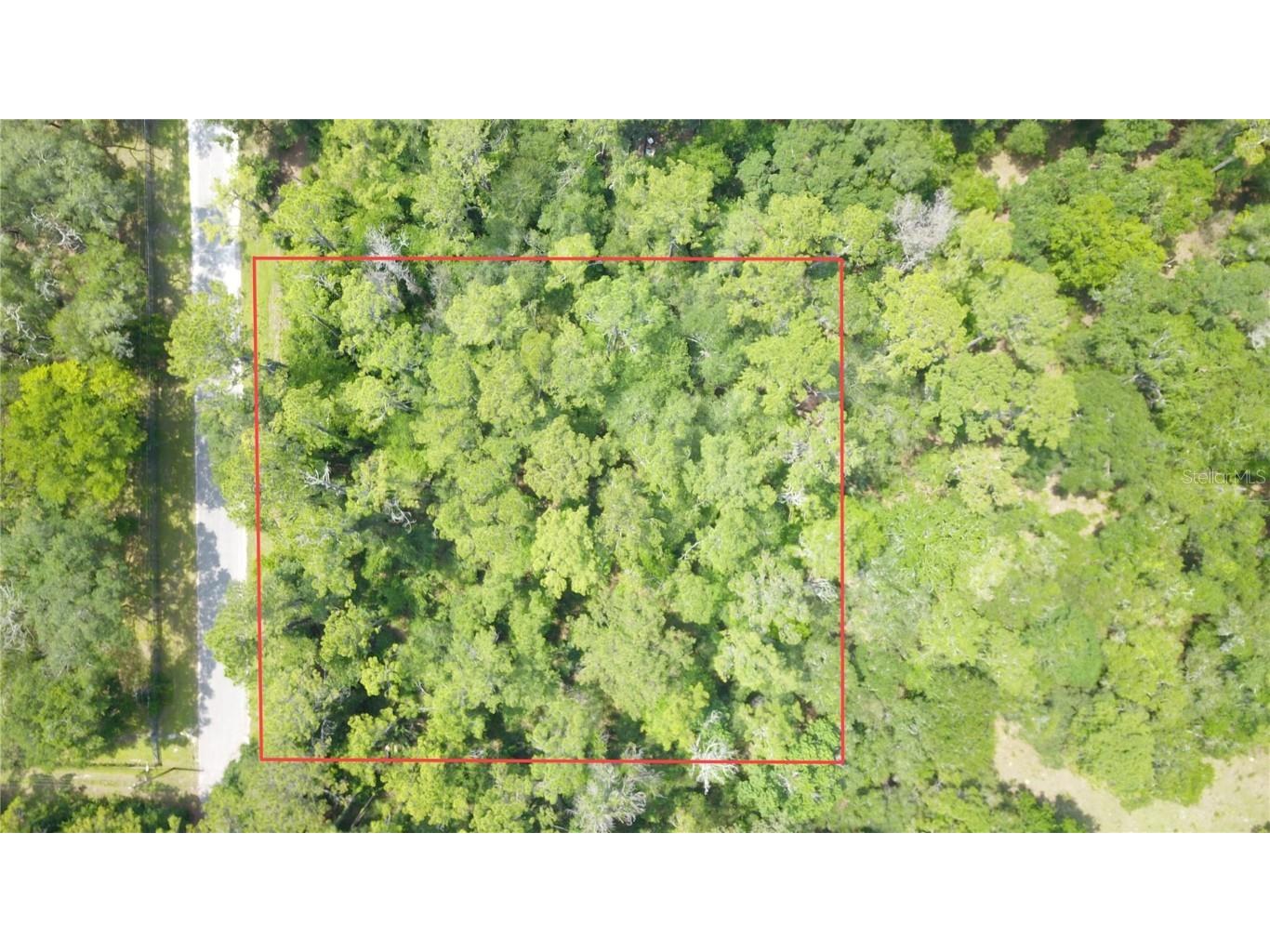 10102 N Tall Pines Terrace Dunnellon FL 34434 W7854938 image1