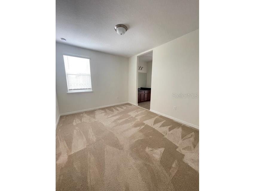10103 Austrina Oak Loop Winter Garden FL 34787 O6407394 image10