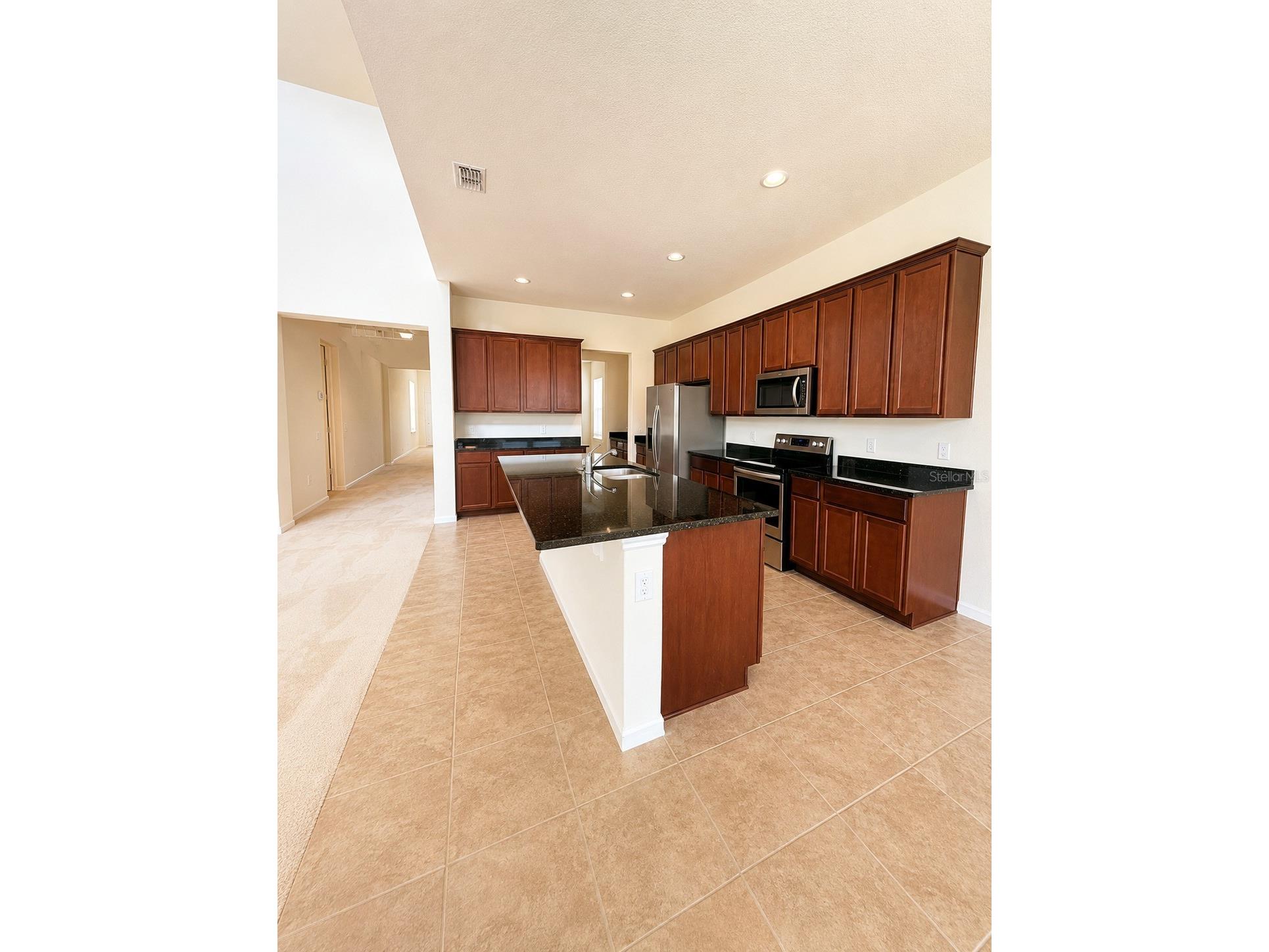 10103 Austrina Oak Loop Winter Garden FL 34787 O6407394 image2