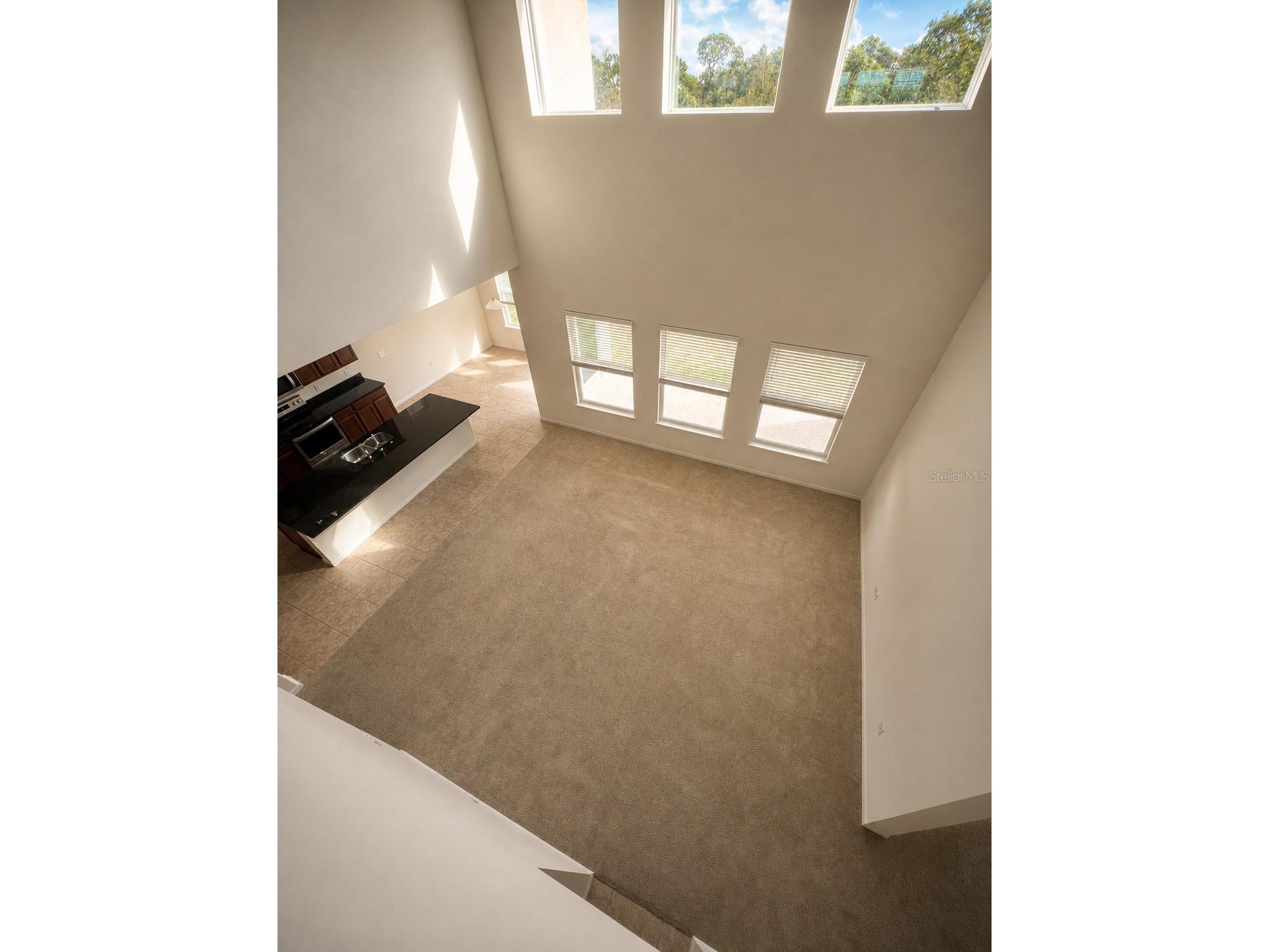 10103 Austrina Oak Loop Winter Garden FL 34787 O6407394 image4