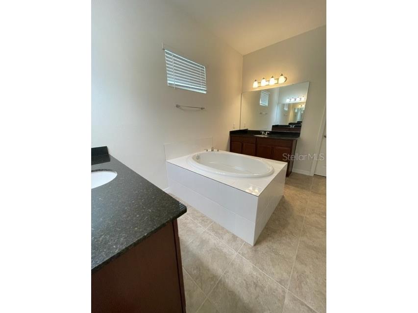 10103 Austrina Oak Loop Winter Garden FL 34787 O6407394 image5