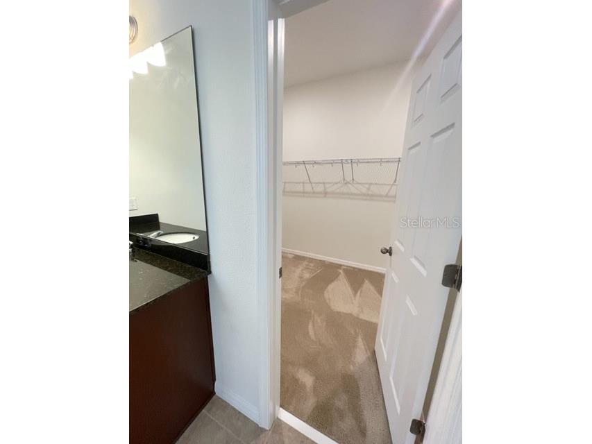 10103 Austrina Oak Loop Winter Garden FL 34787 O6407394 image6