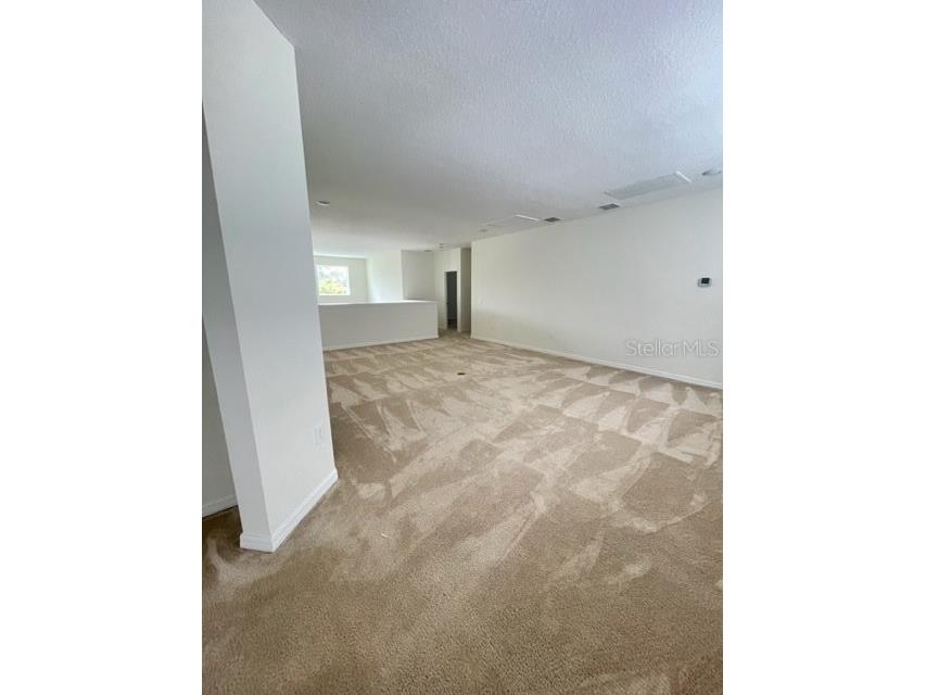 10103 Austrina Oak Loop Winter Garden FL 34787 O6407394 image8
