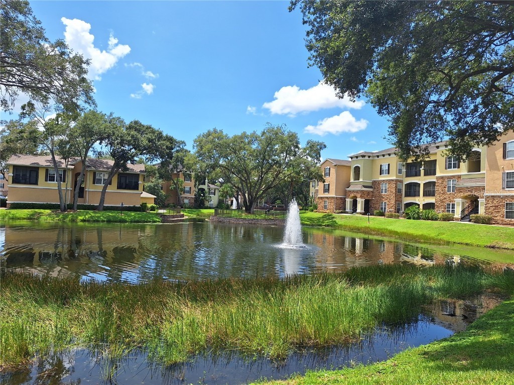 10103 Courtney Palms Boulevard #303 Tampa FL 33619 U8209970 image1