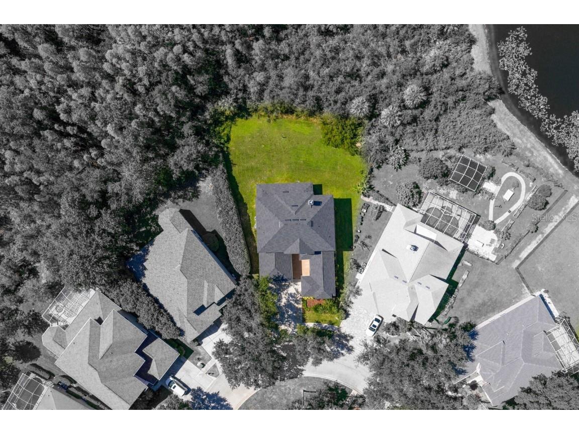 10103 Evergreen Hill Drive Tampa FL 33647 TB8426602 image3