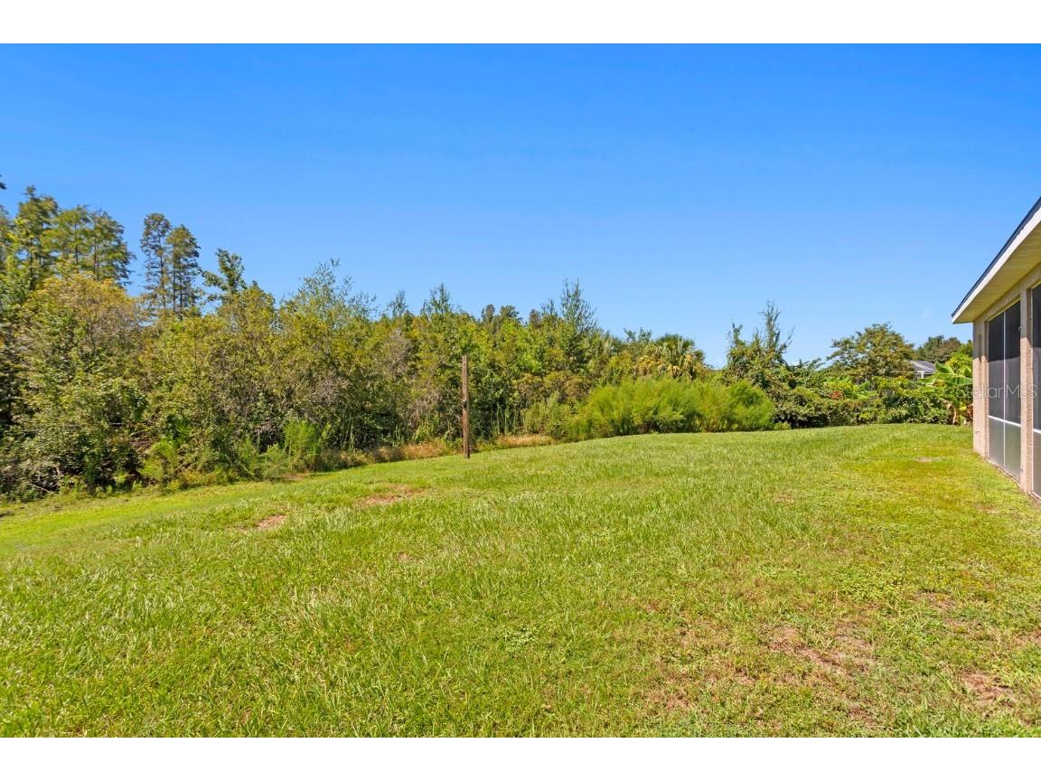 10103 Evergreen Hill Drive Tampa FL 33647 TB8426602 image4