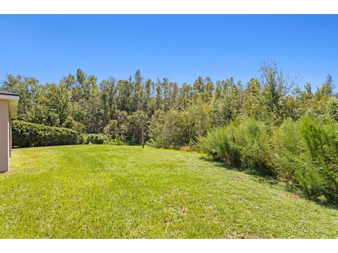 10103 Evergreen Hill Drive Tampa FL 33647 TB8426602 image50