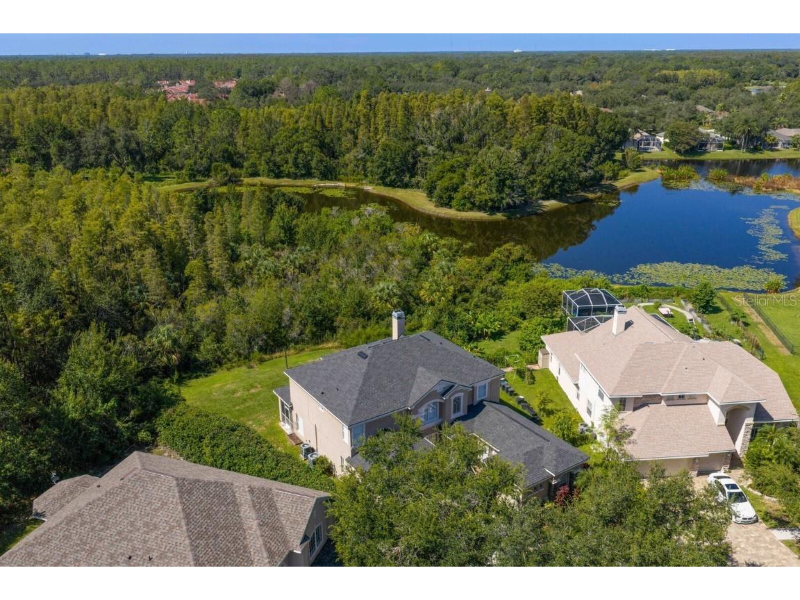 10103 Evergreen Hill Drive Tampa FL 33647 TB8426602 image52