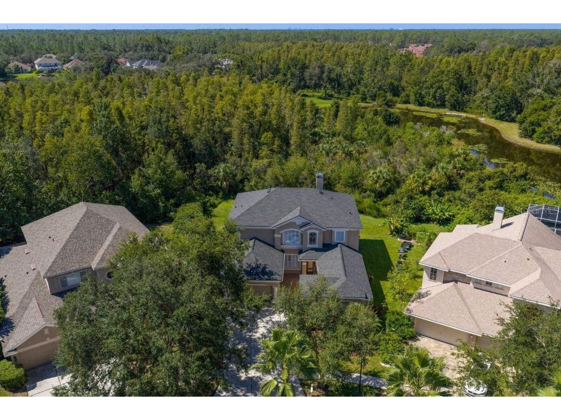 10103 Evergreen Hill Drive Tampa FL 33647 TB8426602 image53