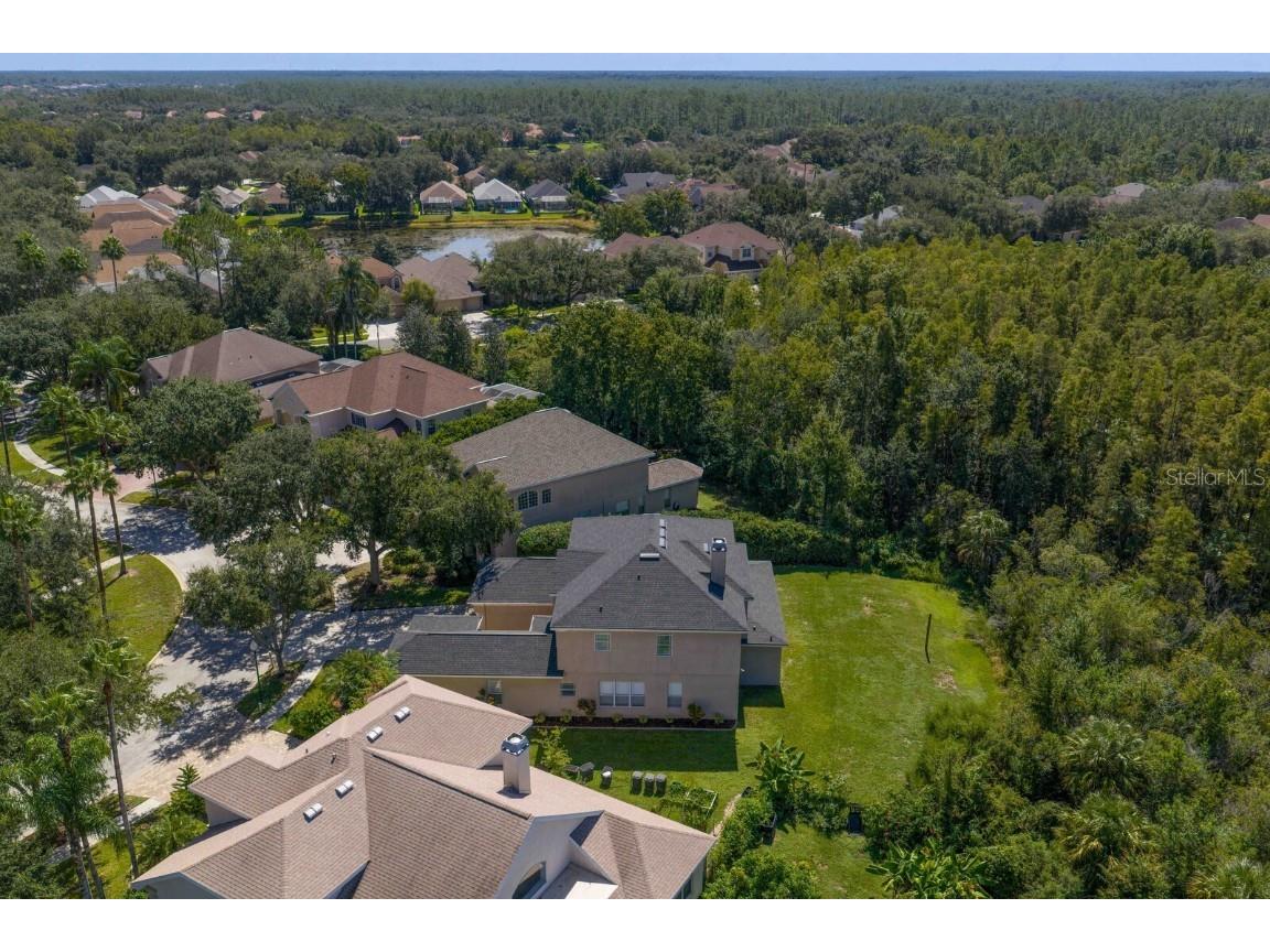 10103 Evergreen Hill Drive Tampa FL 33647 TB8426602 image54