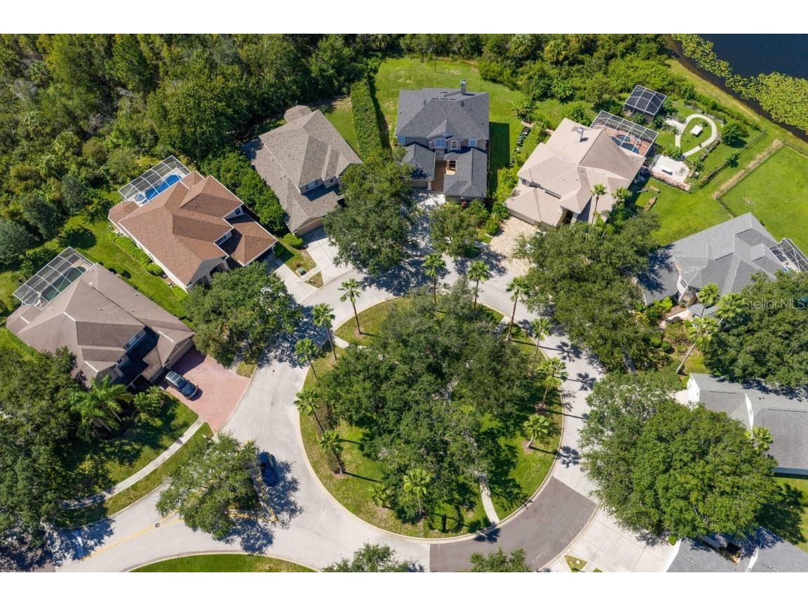 10103 Evergreen Hill Drive Tampa FL 33647 TB8426602 image55