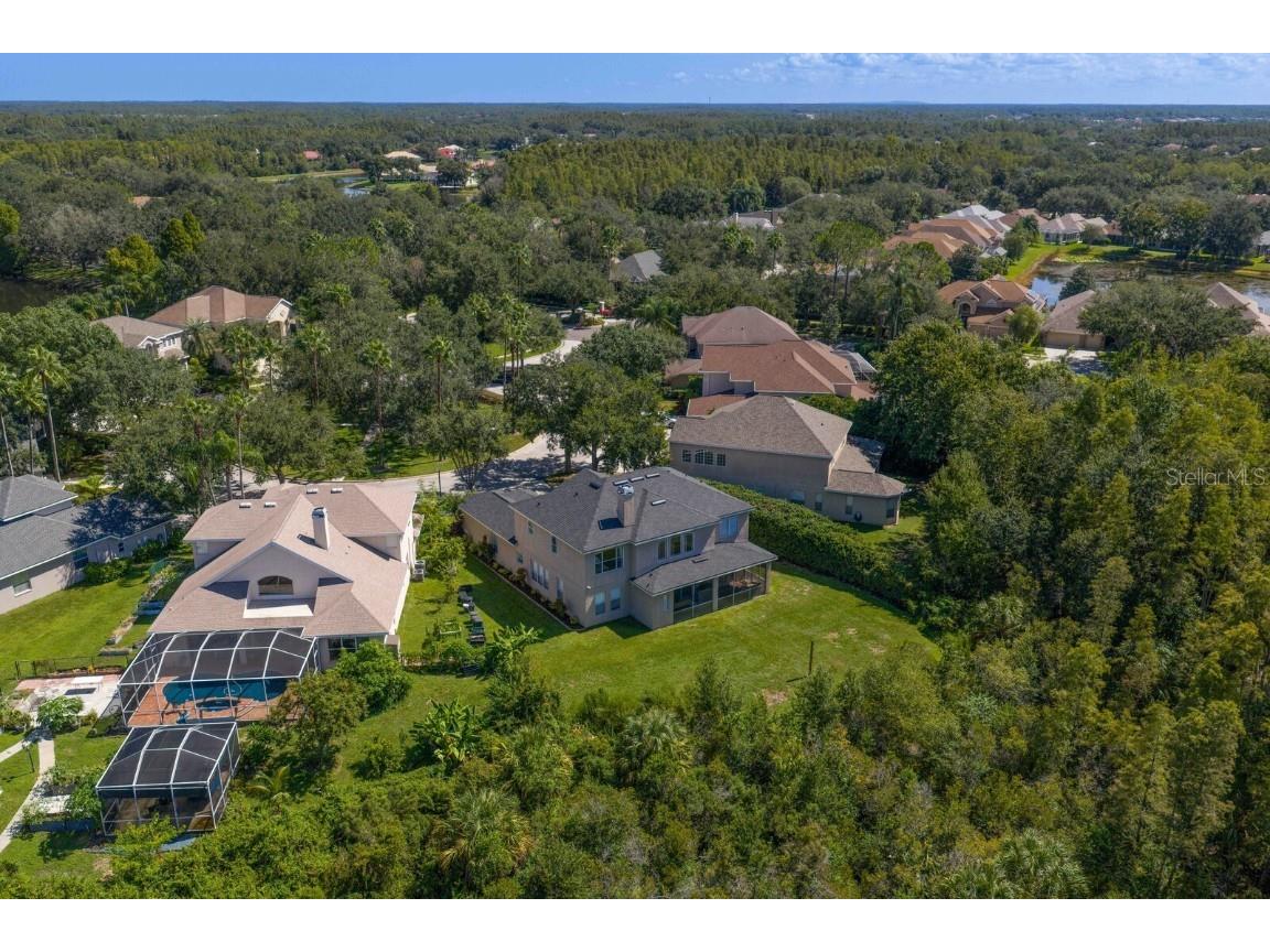 10103 Evergreen Hill Drive Tampa FL 33647 TB8426602 image56