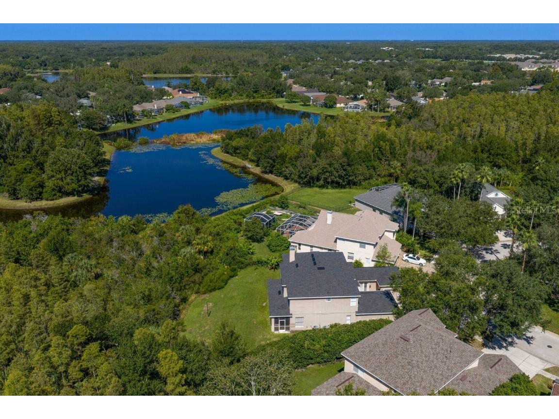 10103 Evergreen Hill Drive Tampa FL 33647 TB8426602 image57