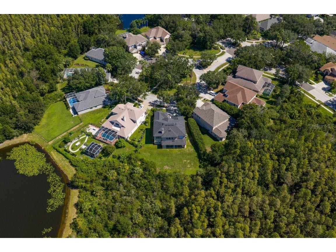 10103 Evergreen Hill Drive Tampa FL 33647 TB8426602 image58