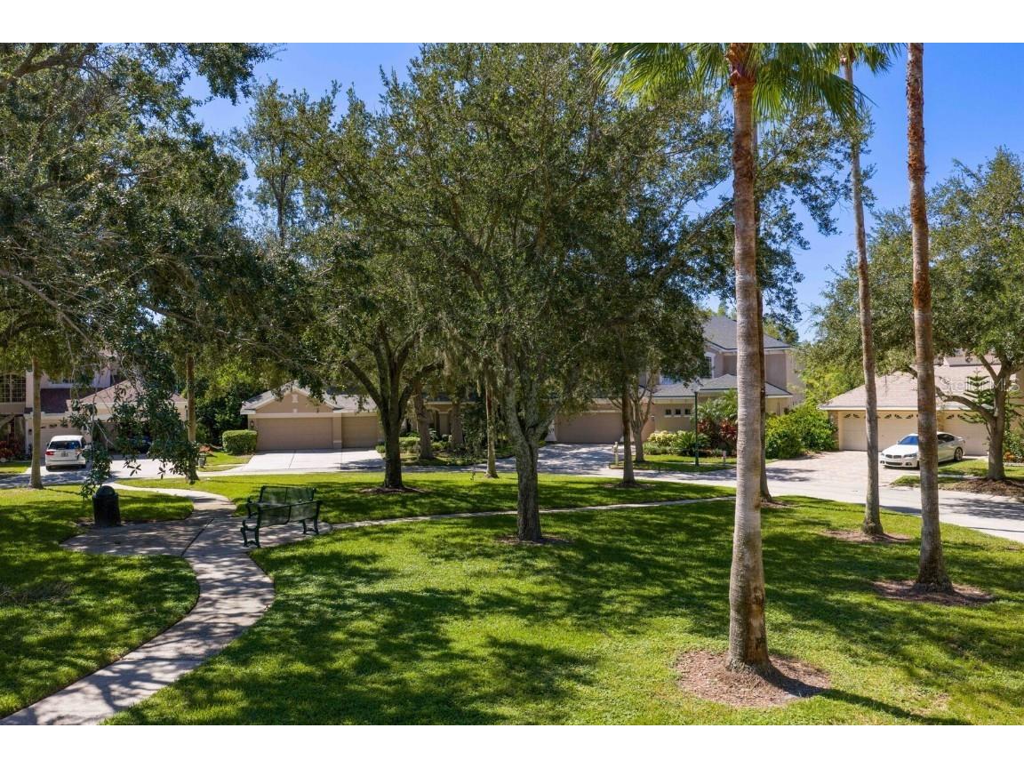 10103 Evergreen Hill Drive Tampa FL 33647 TB8426602 image60