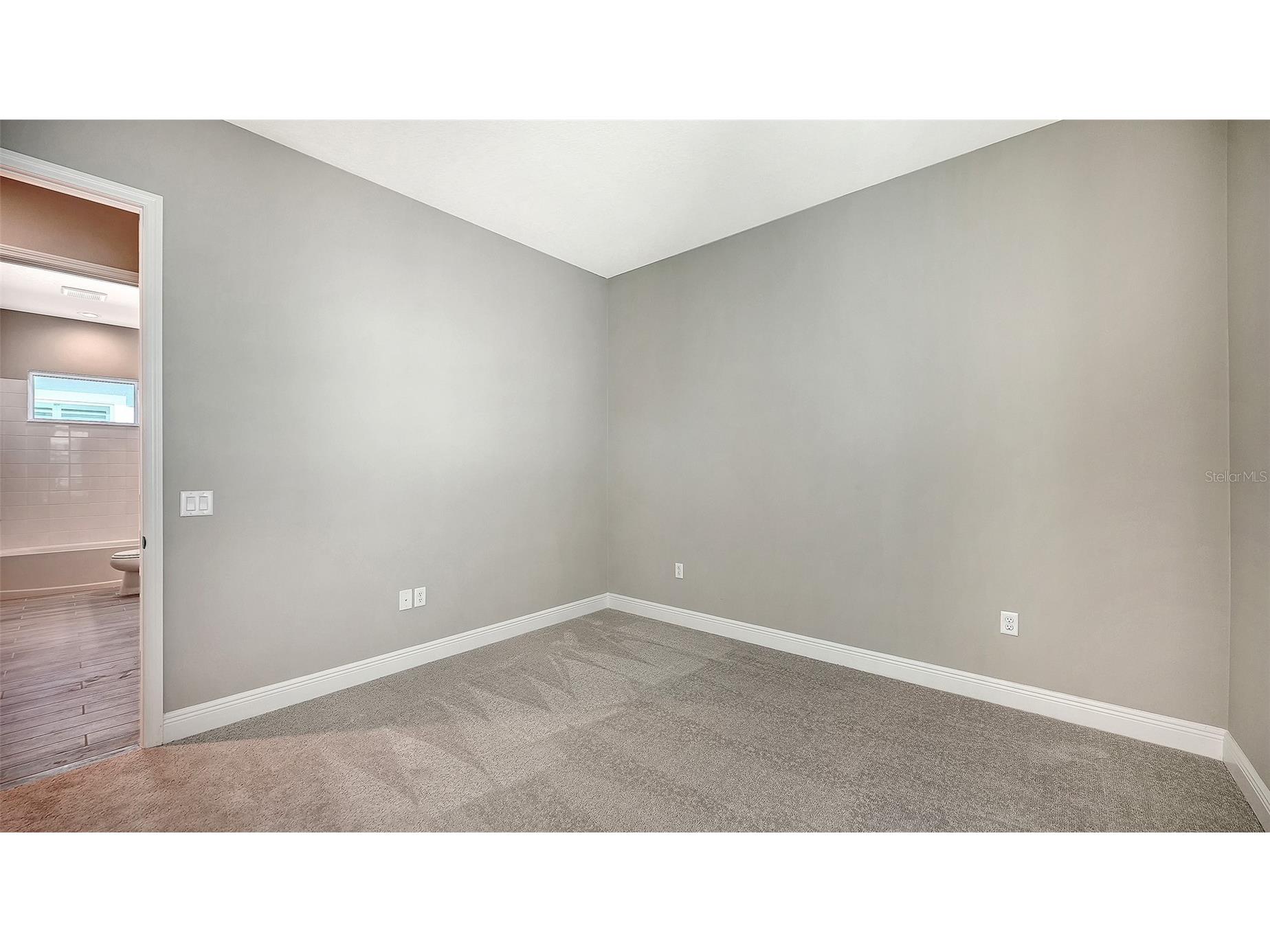 10103 Hammock Brook Drive Parrish FL 34219 A4677918 image38