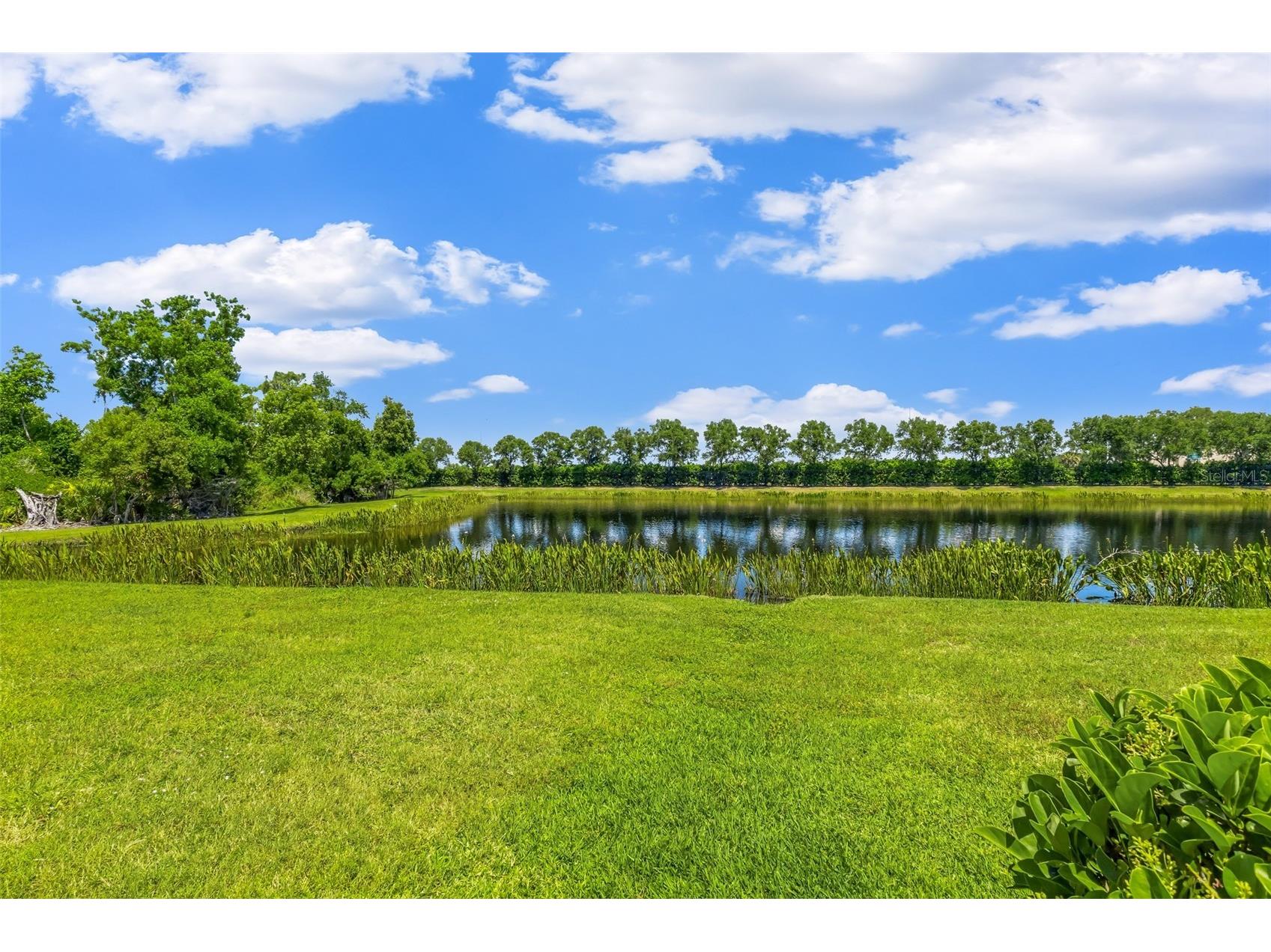 10103 Marbella Drive Bradenton FL 34211 A4691487 image31