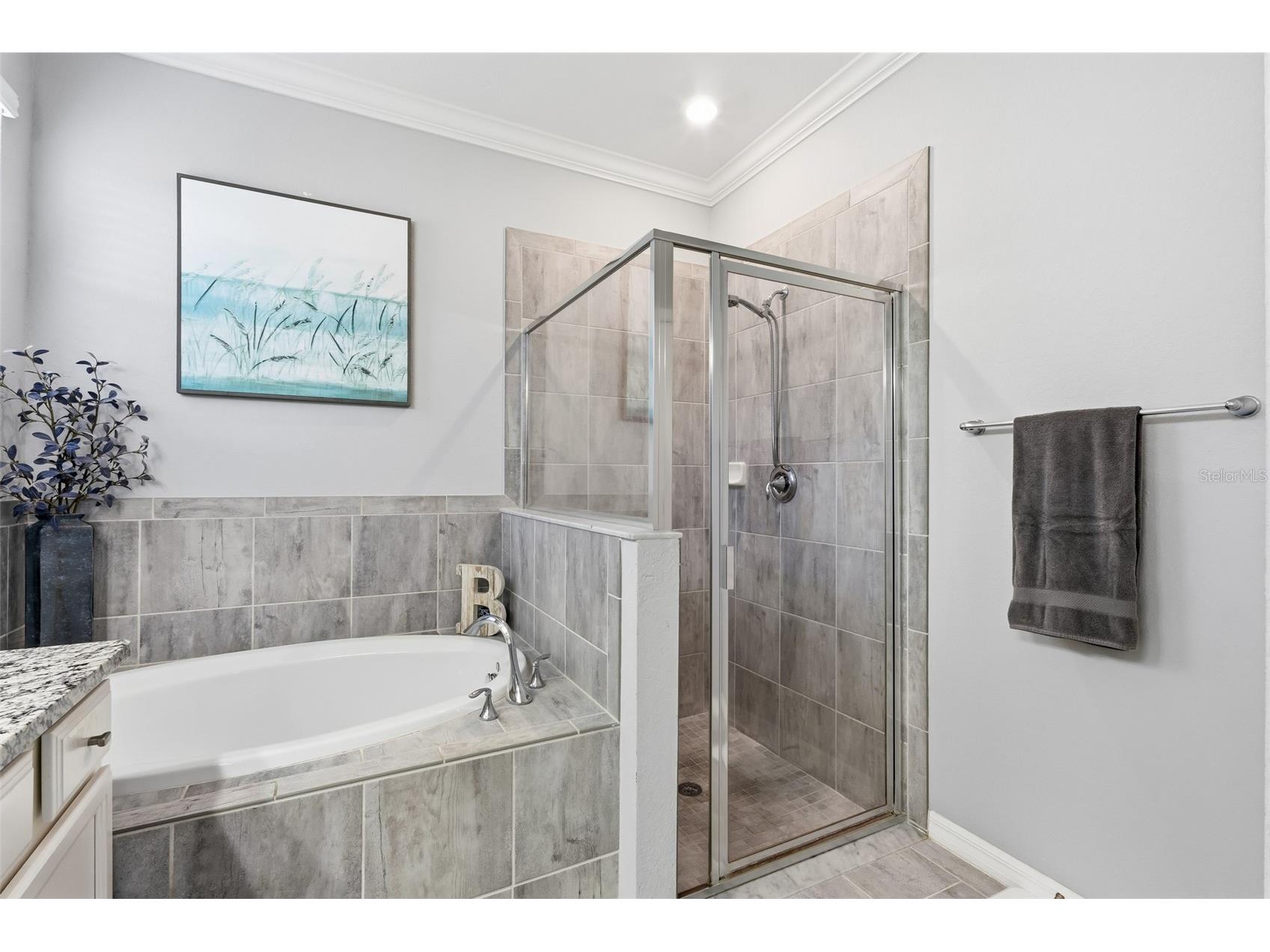 10103 Marbella Drive Bradenton FL 34211 A4691487 image37