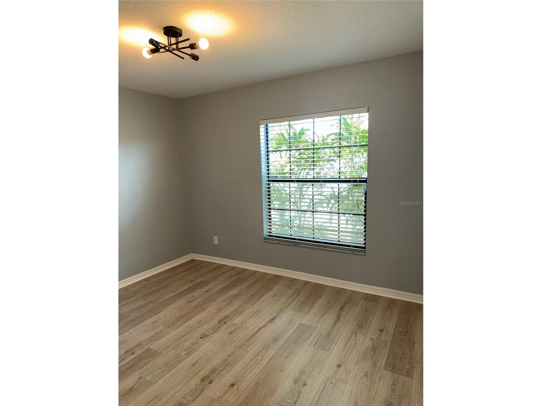 10103 Rose Petal Place Riverview FL 33578 TB8469600 image20