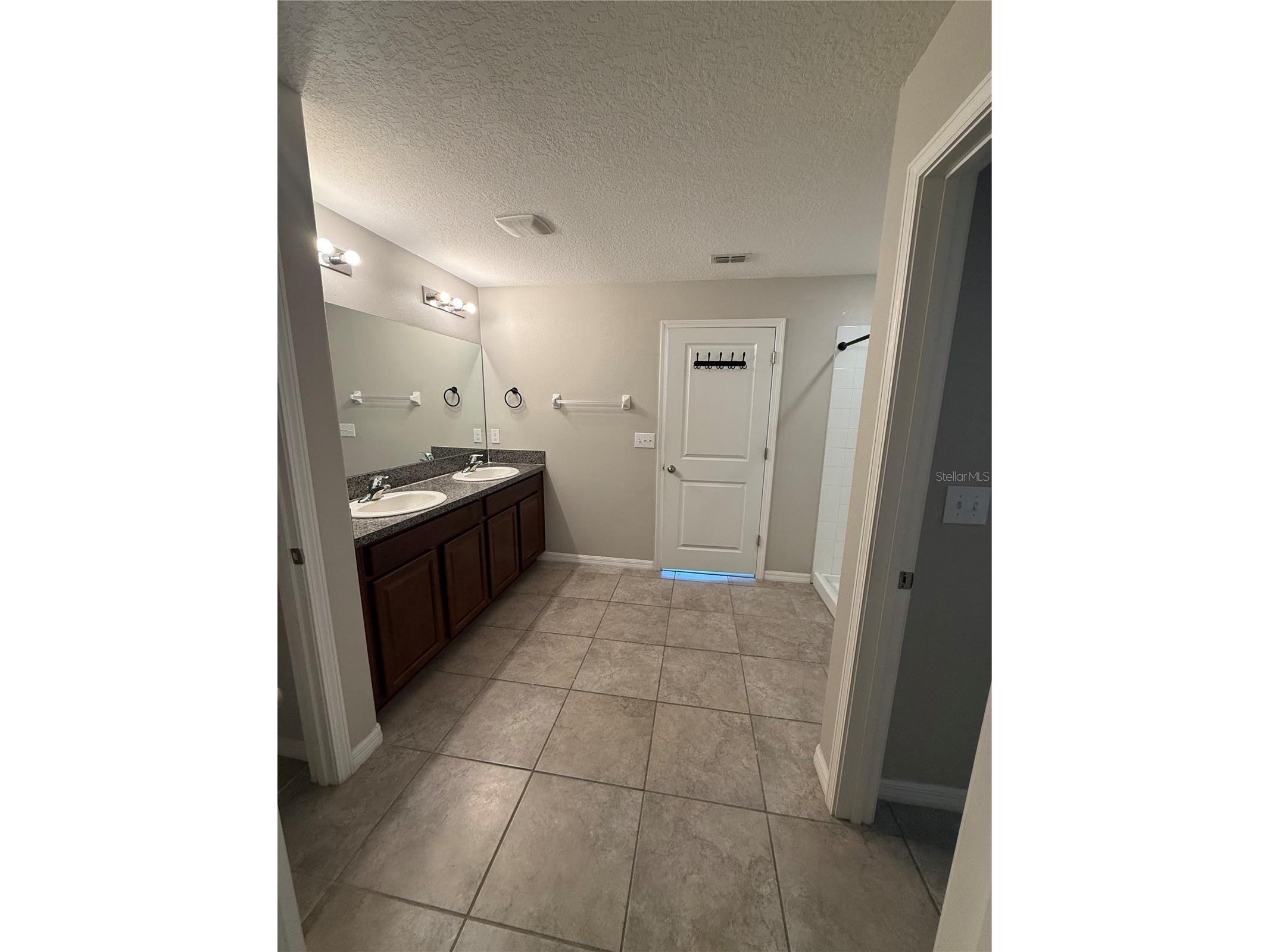 10103 Rose Petal Place Riverview FL 33578 TB8469600 image36