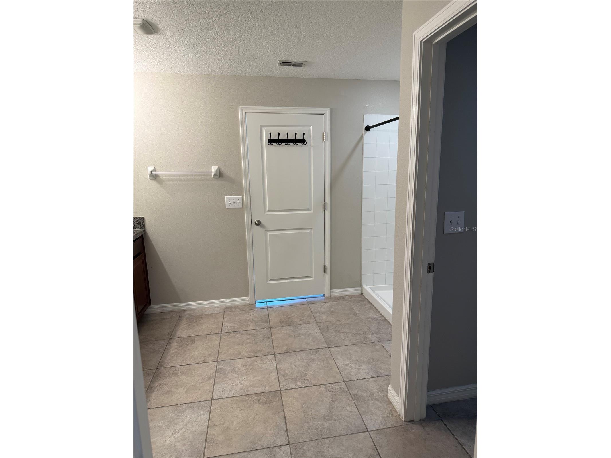 10103 Rose Petal Place Riverview FL 33578 TB8469600 image38