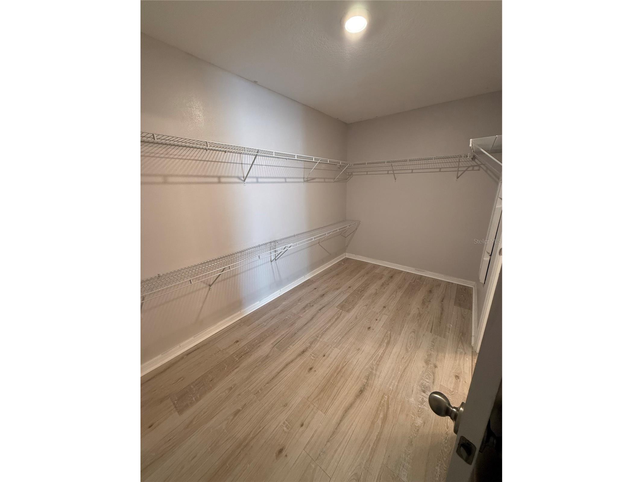 10103 Rose Petal Place Riverview FL 33578 TB8469600 image44