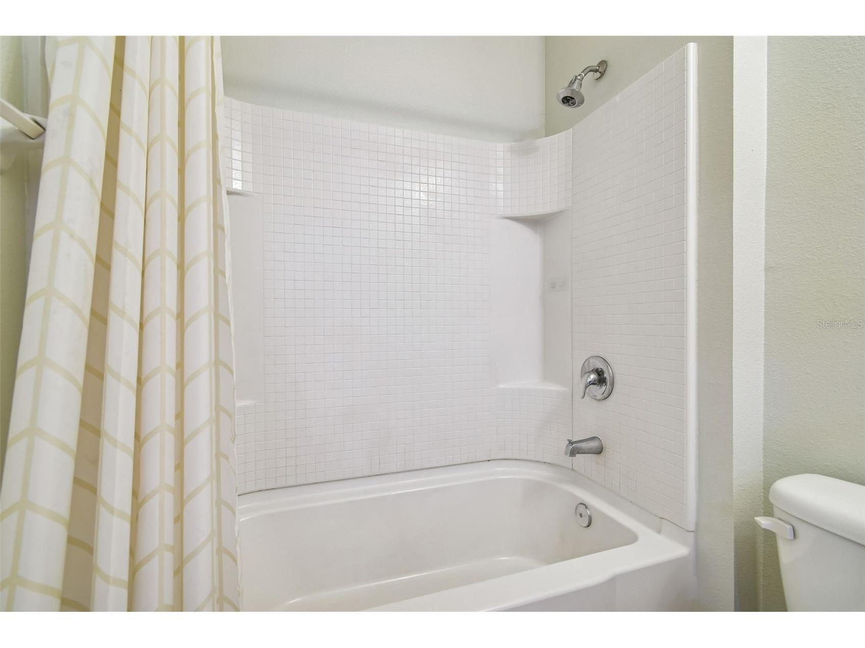 10104 Hawk Storm Avenue Tampa FL 33610 TB8470307 image21
