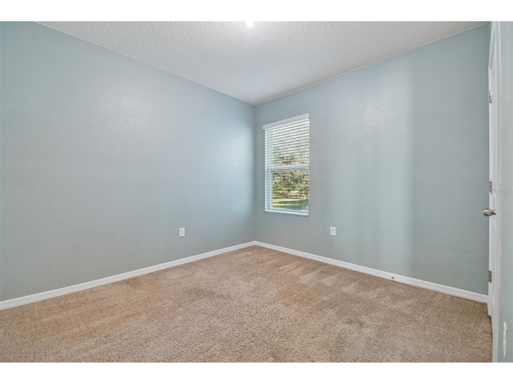 10104 Hawk Storm Avenue Tampa FL 33610 TB8470307 image23