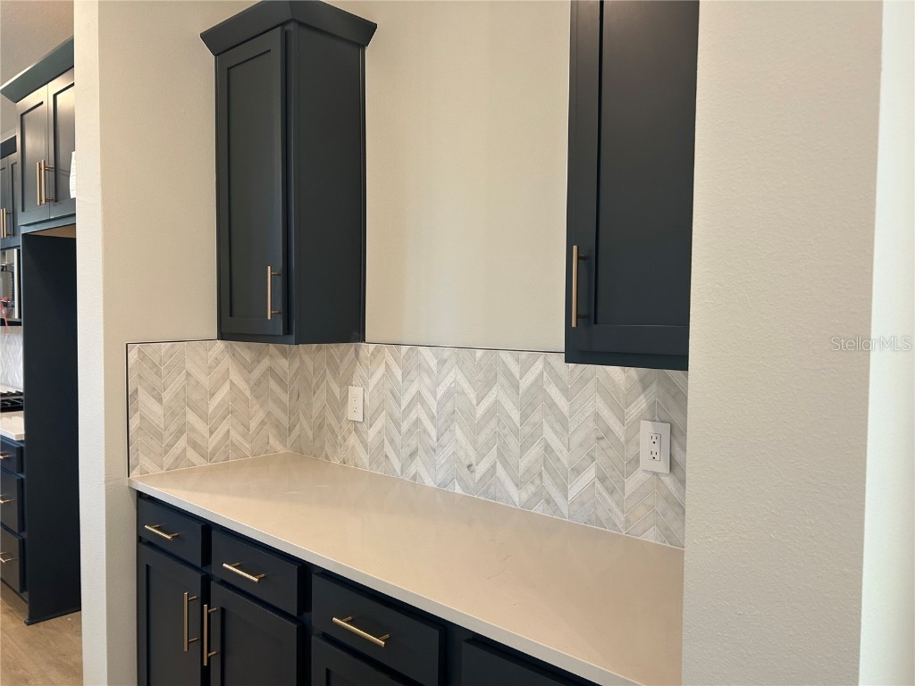 10104 Hidden Hammock Loop Parrish FL 34219 TB8435054 image11