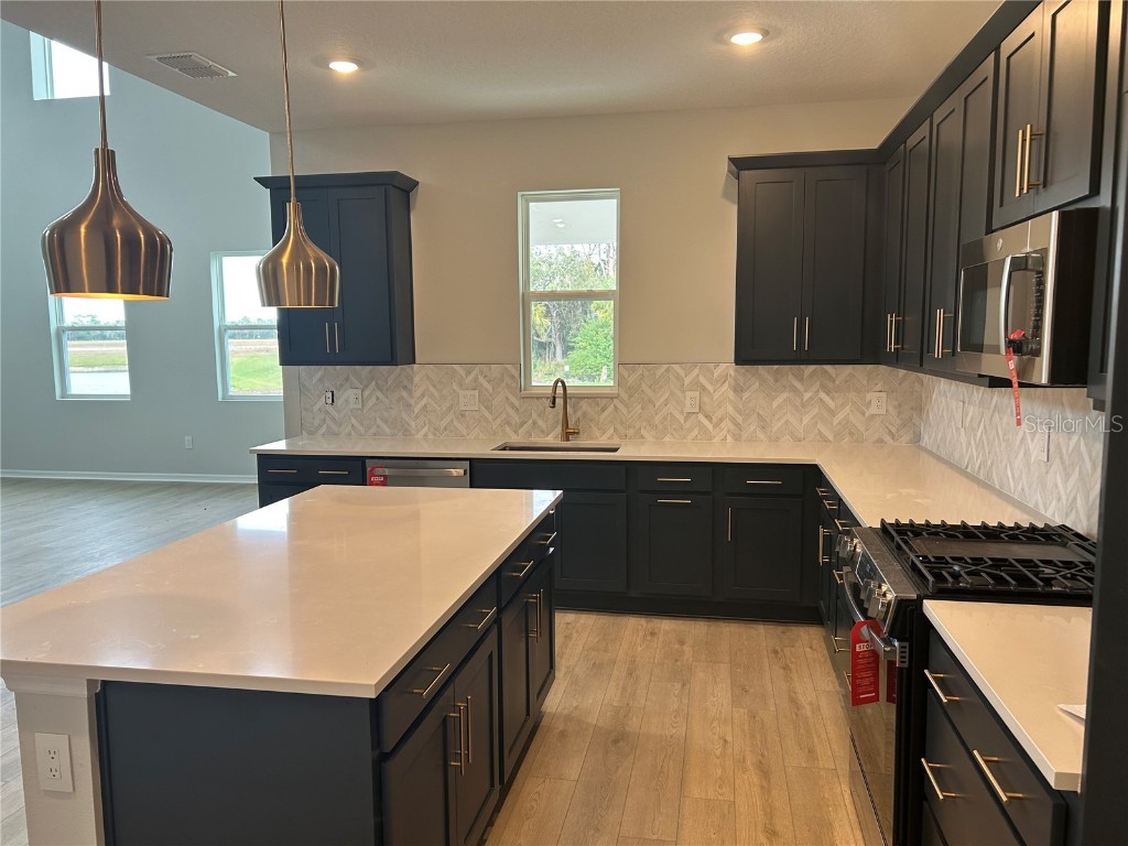 10104 Hidden Hammock Loop Parrish FL 34219 TB8435054 image14