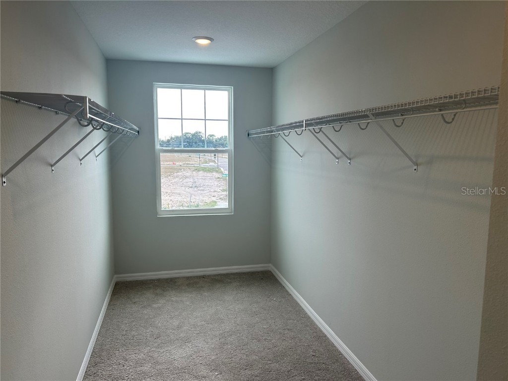 10104 Hidden Hammock Loop Parrish FL 34219 TB8435054 image23