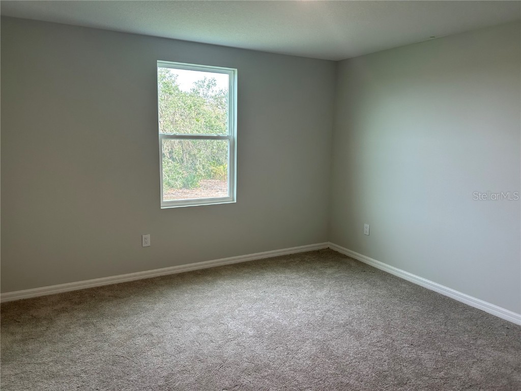 10104 Hidden Hammock Loop Parrish FL 34219 TB8435054 image25