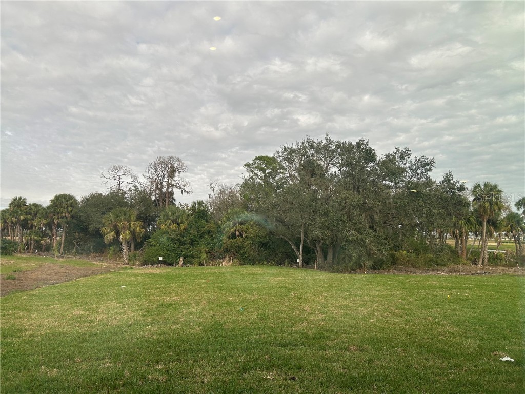 10104 Hidden Hammock Loop Parrish FL 34219 TB8435054 image38