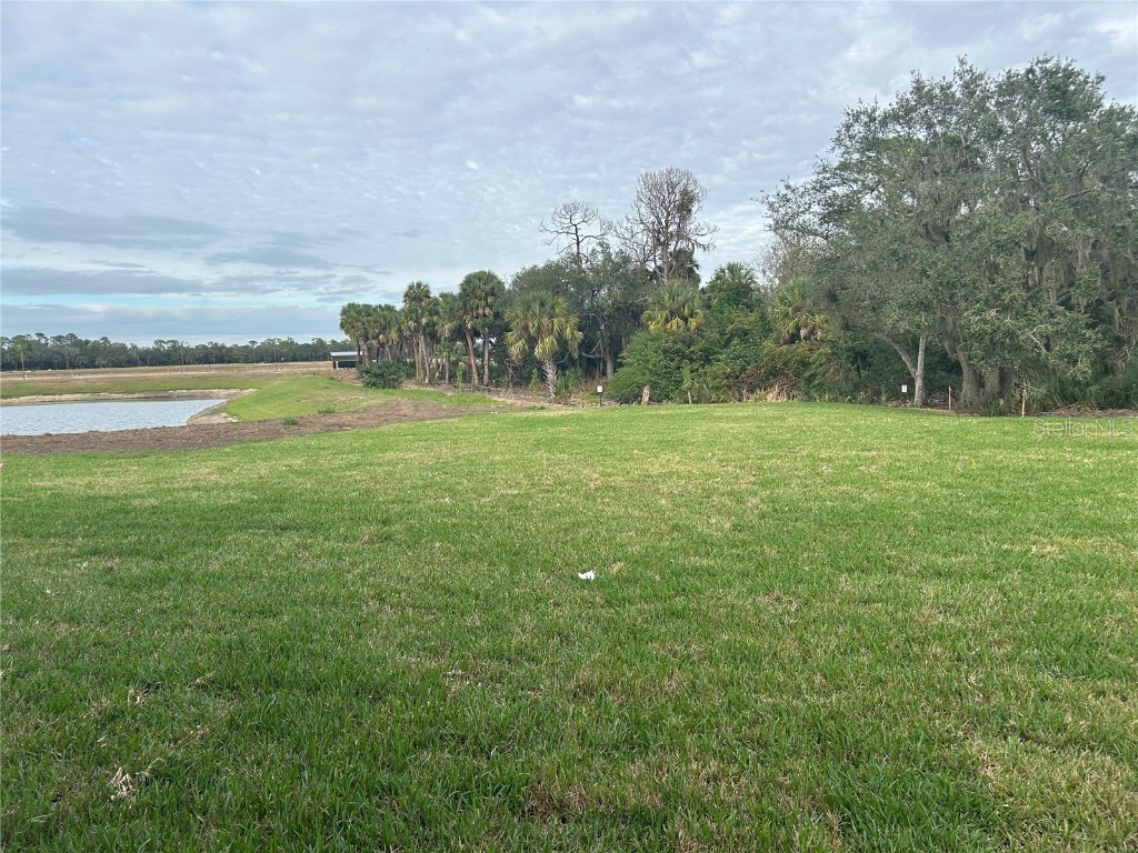 10104 Hidden Hammock Loop Parrish FL 34219 TB8435054 image39