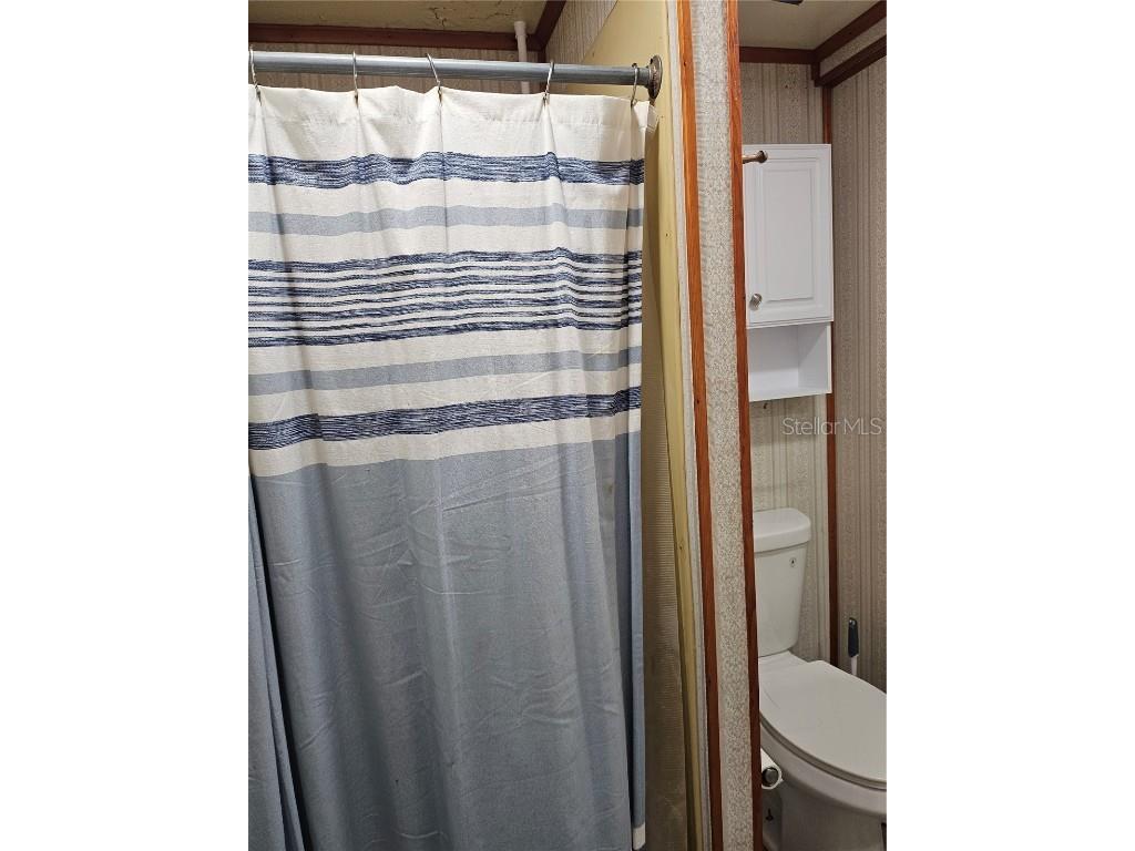 10104 Loetscher Lane Lithia FL 33547 TB8391920 image12