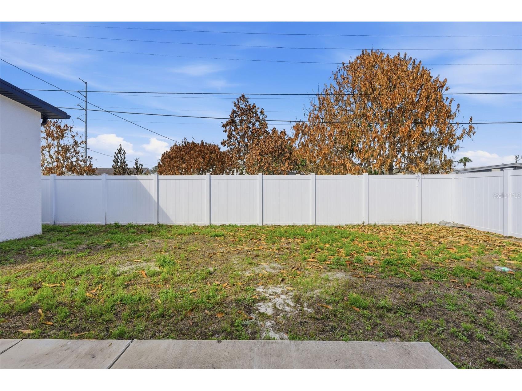 10104 N Dartmouth Avenue Tampa FL 33612 TB8481926 image44