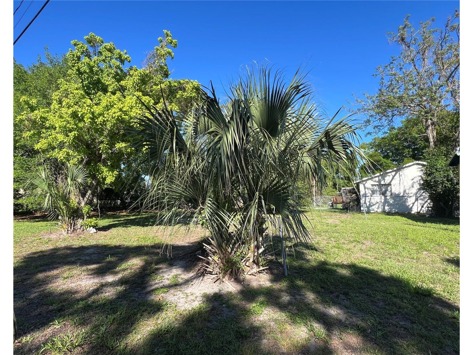 10105 N 16 Street Tampa FL 33612 TB8488975 image2