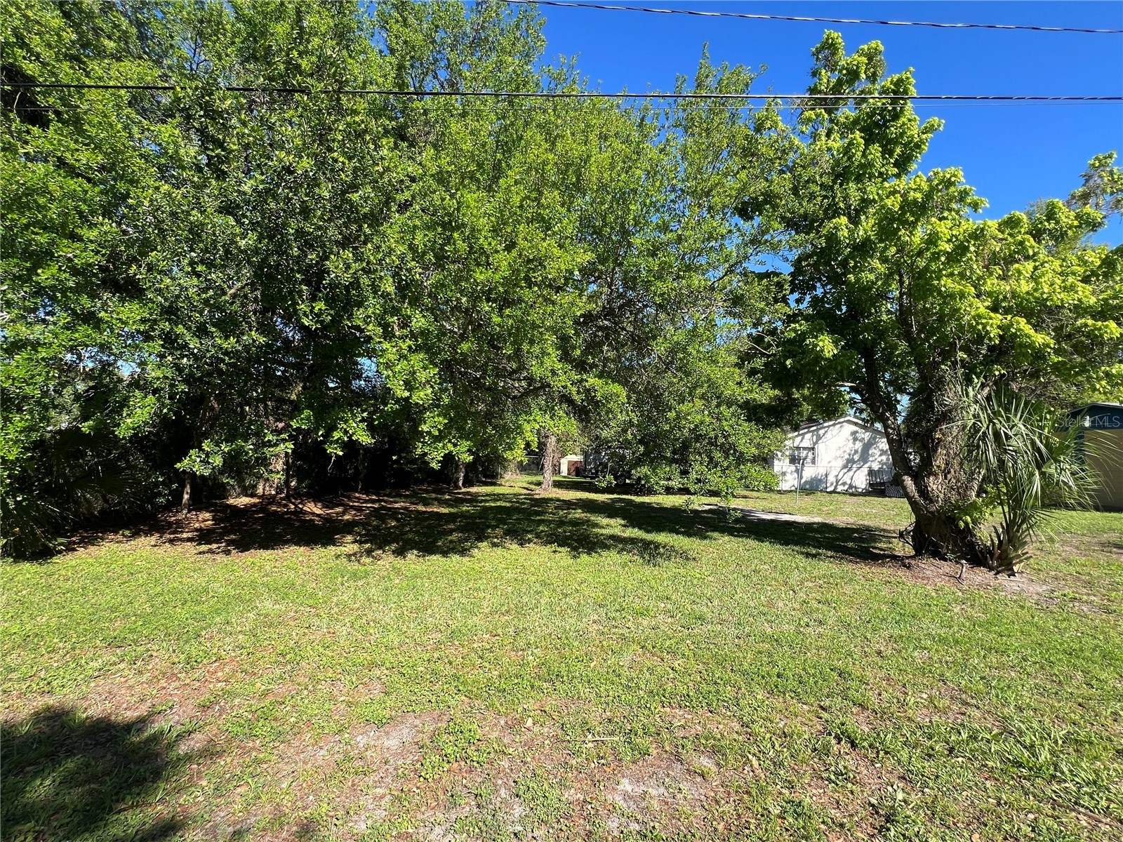 10105 N 16 Street Tampa FL 33612 TB8488975 image4