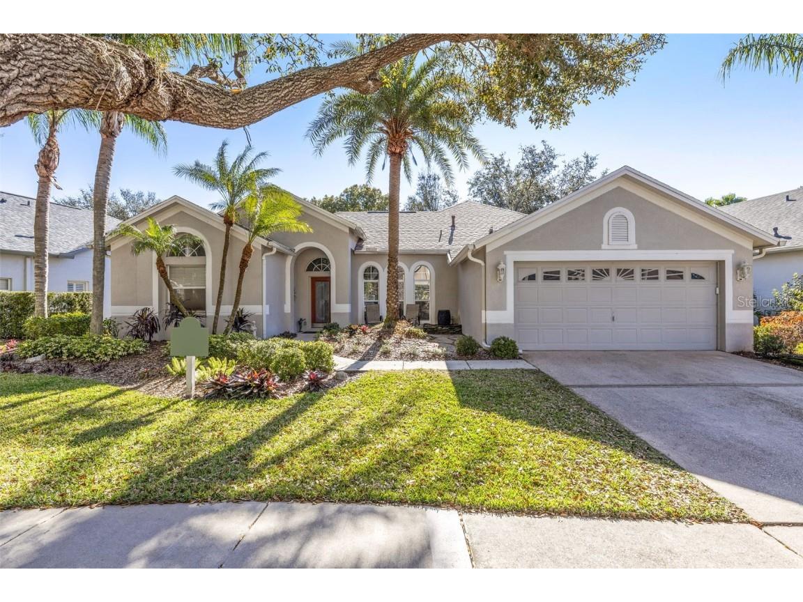 10105 Whisper Pointe Drive Tampa FL 33647 T3487060 image1