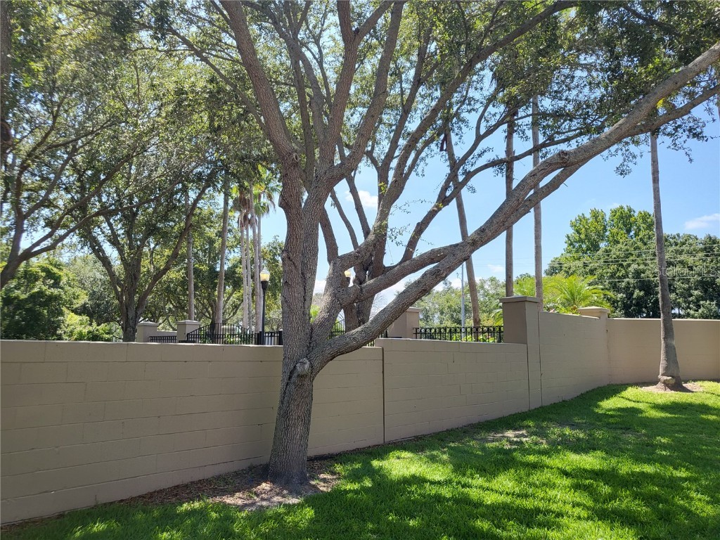 10106 Belleville Place Tampa FL 33624 TB8435230 image11