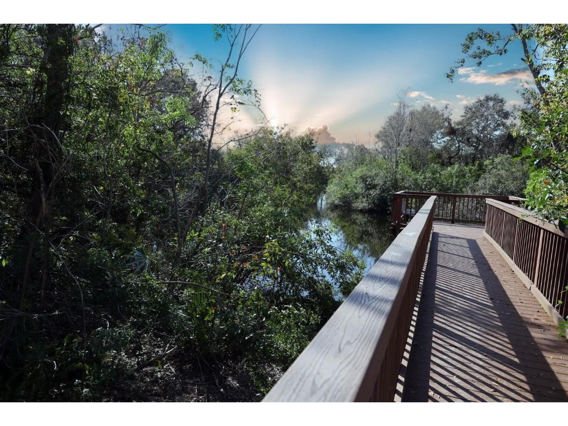 10106 Belleville Place Tampa FL 33624 TB8435230 image22