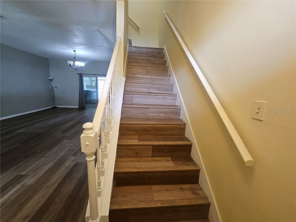 10106 Belleville Place Tampa FL 33624 TB8435230 image27