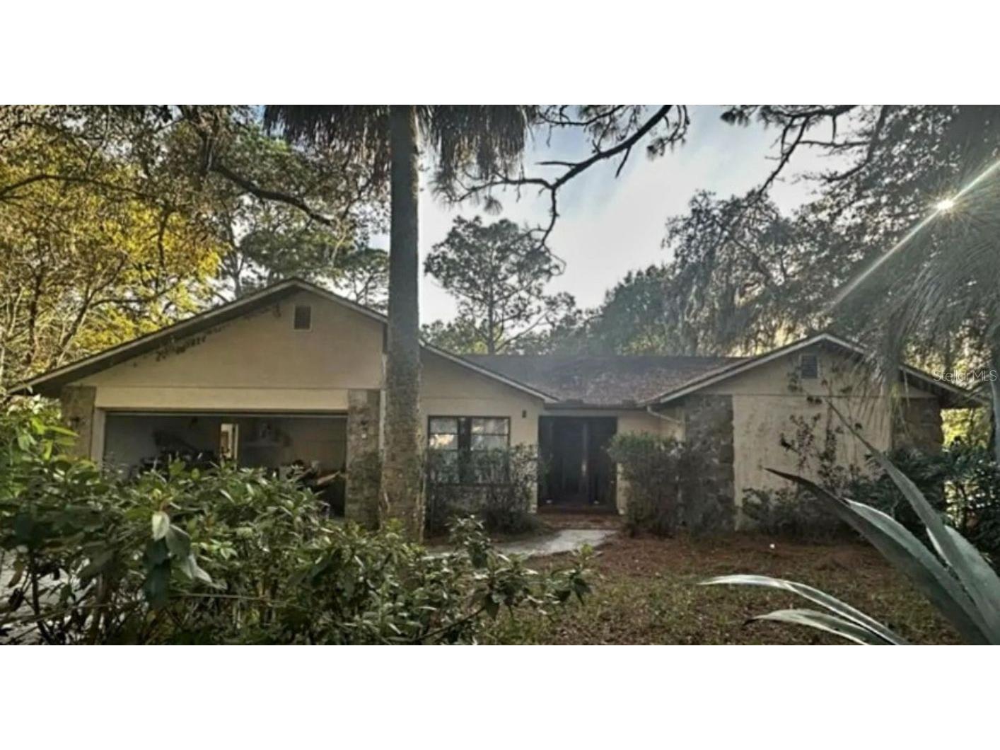 10106 Lakeview Drive New Port Richey FL 34654 J1002342 image1