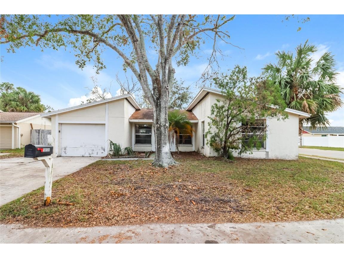 10106 Royal Acres Court Tampa FL 33615 O6256876 image1