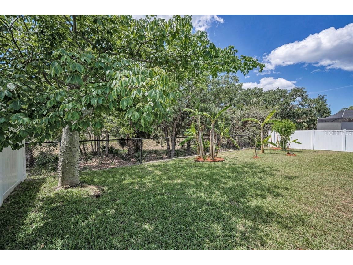 10106 Tolman Drive Hudson FL 34667 W7875047 image44